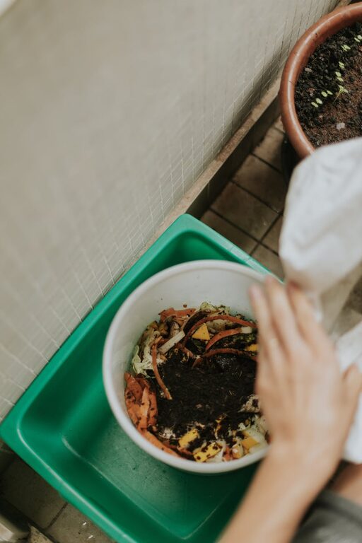 Beginner Tips for Composting at Home: Start Your Sustainable Journey